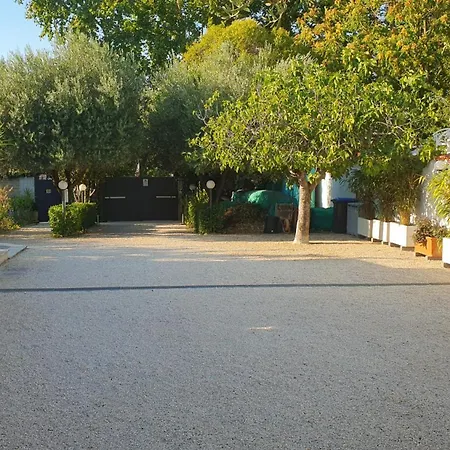 Lilli Urban Garden - Private Garden And Reserved Free Parking In Detached House Surrounded By The Greenery Of *