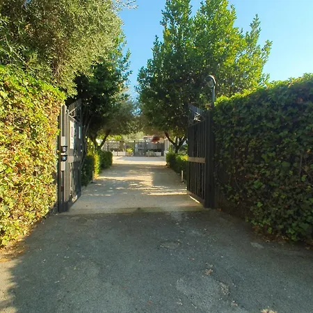 Daire Lilli - Urban Garden