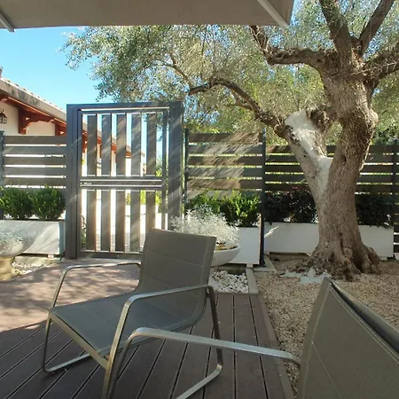 Lilli Urban Garden - Private Garden And Reserved Free Parking In Detached House Surrounded By The Greenery Of