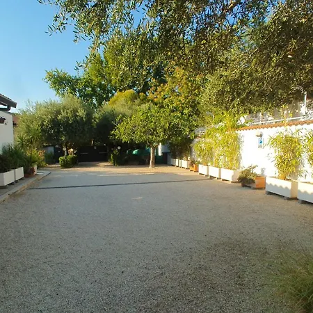 Daire Lilli - Urban Garden