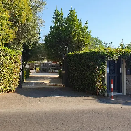 Apartment Lilli Urban Garden - Private Garden And Reserved Free Parking In Detached House Surrounded By The Greenery Of *