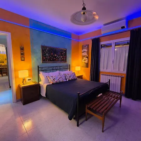 Lilli - Urban Garden *