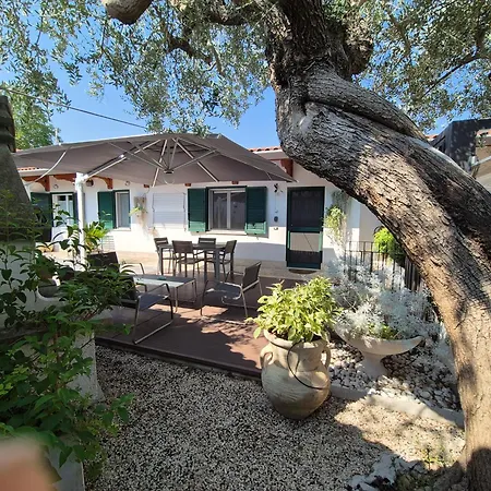 Lilli - Urban Garden Appartement